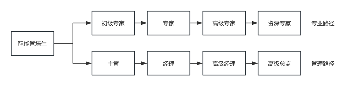 1714281560579741.png 职能管培生成长路径.png